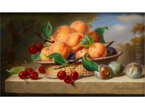 Stilleben Mit Aprikosen, Pflaumen Und Kirschen by Ange Louis Guillaume Lesourd-Beauregard