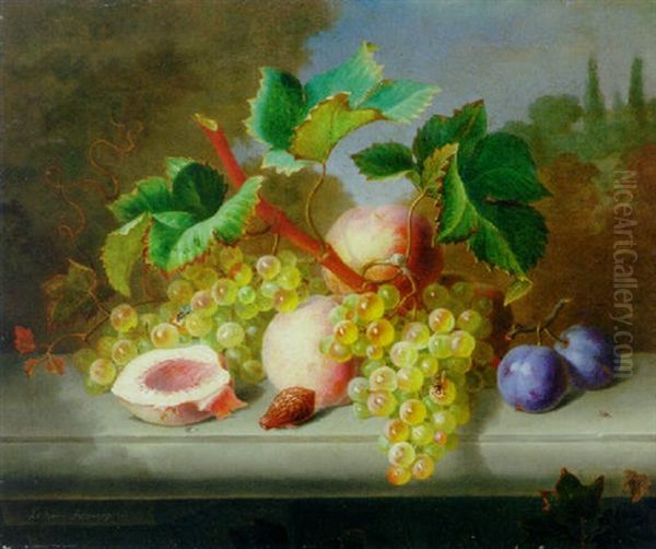 Grapes, Peaches And Plums On A Stone Ledge - view 1