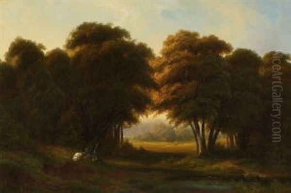 Waldlandschaft - view 1