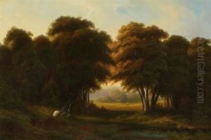 Waldlandschaft