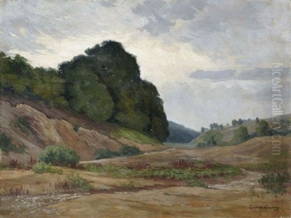 Fluslandschaft Im Sommer - view 1
