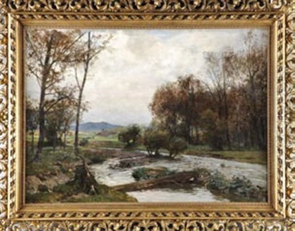 Landschaft Mit Baumbestandenen Bachlauf - view 1