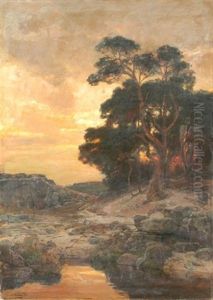 Baumbestandene Landschaft Im Abendrot