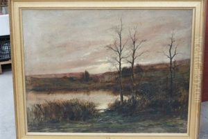 Les Marais Dans L'ain by Raymond Letourneur Dubreuil