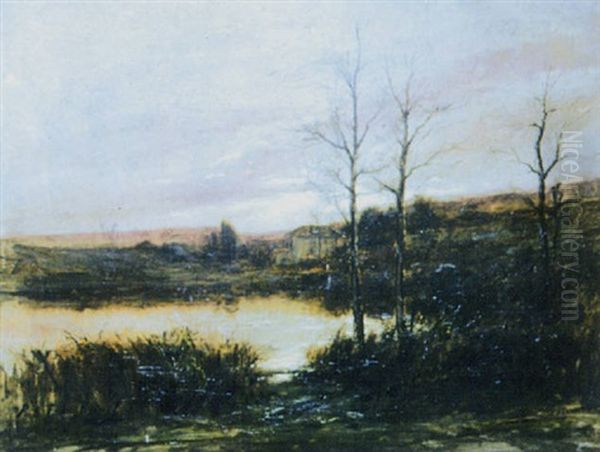 Soir D'automne En Dombes - view 1