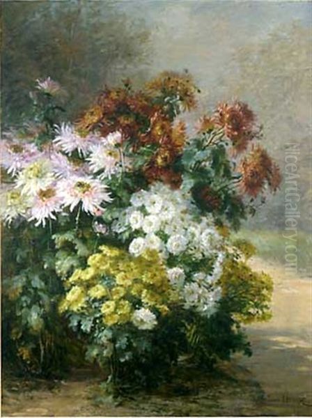 Parterre De Chrysanthemes - view 1