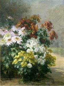 Parterre De Chrysanthemes