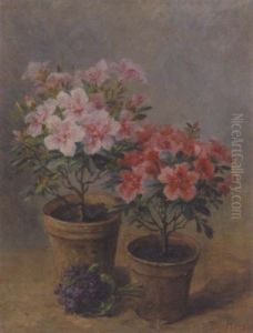 Stilleben Mit Veilchenstraus Und Zwei Blumentopfen