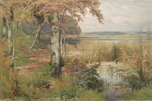 Herbstlicher Weiher Im Voralpenland by Oskar Leu