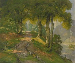 Lichtdurchfluteter Waldweg An Einem See by Oskar Leu