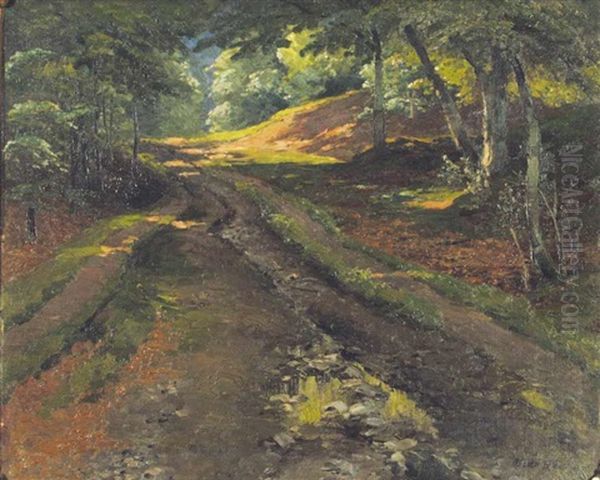 Schattiger Waldweg - view 1