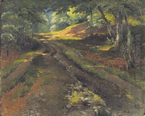 Schattiger Waldweg by Oskar Leu
