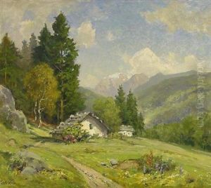 Berghutte In Sommerlicher Gebirgslandschaft