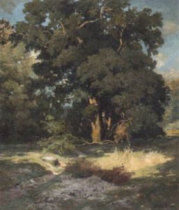 Sonnenbeschienene Eichengruppe In Oberbayern