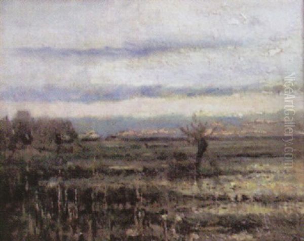 Wiesen- Und Moorlandschaft - view 1