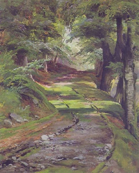 Waldweg - view 1