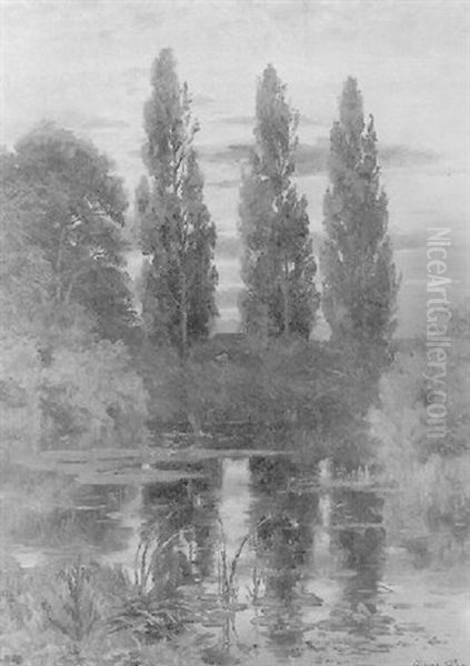 Abendstimmung Am Seerosenteich - view 1