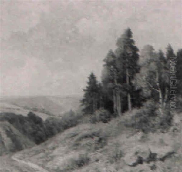 Mittelgebirgslandschaft Im Sommerlichem Licht - view 1