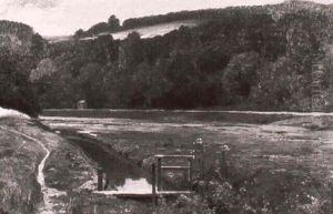 Sommerliche Bachlandschaft by Oskar Leu