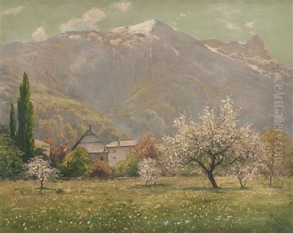 Summer Landscape - view 1