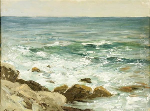 A Rocky Coastline - view 1