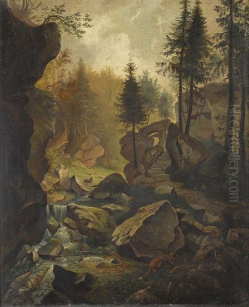 Felsige Waldlandschaft Mit Fuchsen - view 1
