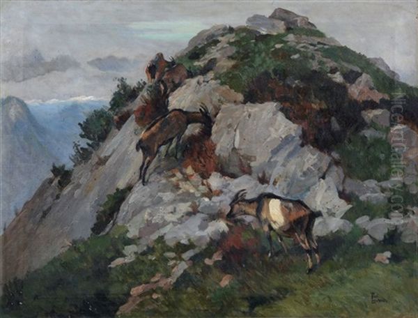 Grasende Ziegen - view 1