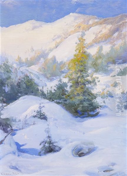 Winter Landscape - view 1