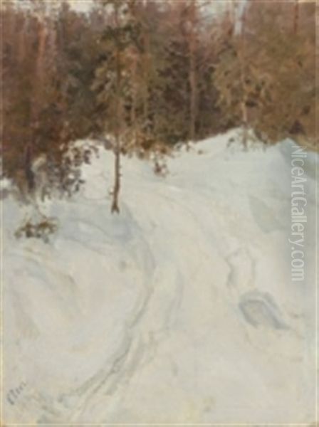 Skogslandskap I Vinterskrud - view 1