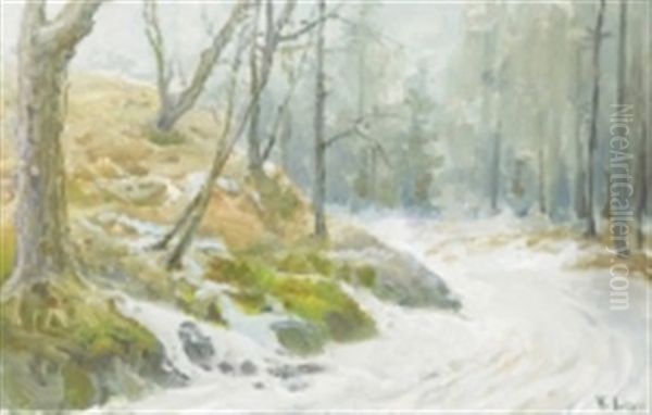 Vinter I Skogen - view 1