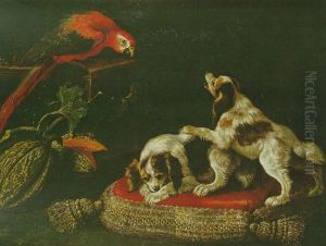 Nature Morte Aux Aras, Chiens Et Melons
