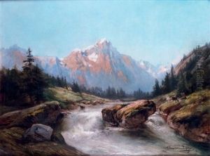 Chevrier Pres D'un Torrent De Montagne