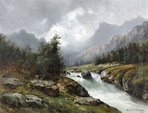 Landschaft Mit Wildem Gebirgsbach