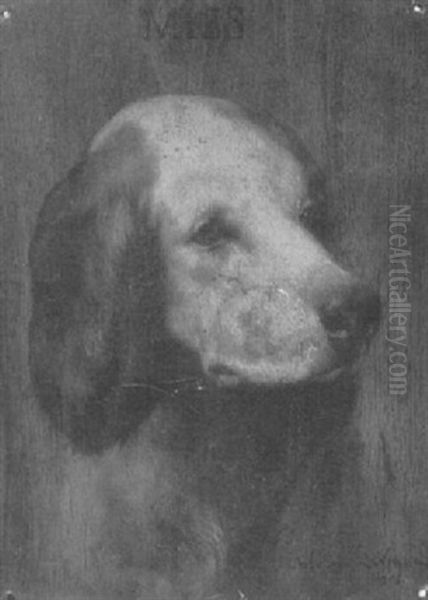 Brutus - view 1
