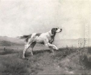 Setter In A Landscape Setter In A Landscape