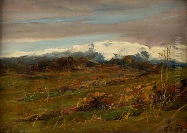 Paysage De Montagne - view 1