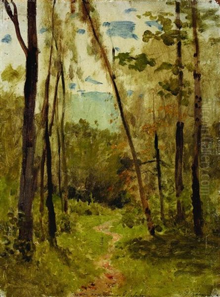 Trees In The Woods - view 1