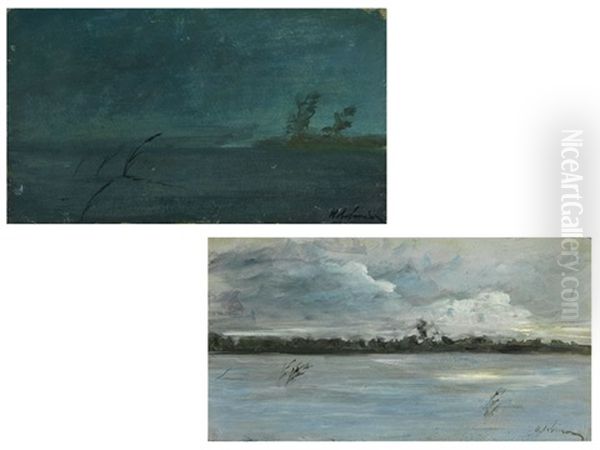 Paar Russische Landschaften In Truber, Nebeliger Lichtstimmung - view 1