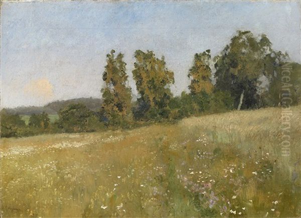 Forest Meadow - view 1