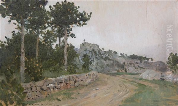 Summer Twilight, Crimea - view 1