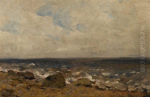 Rocky Shore - view 1