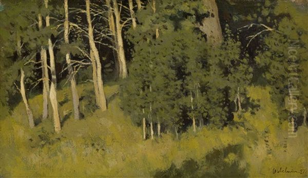 Wooded Glade - view 1