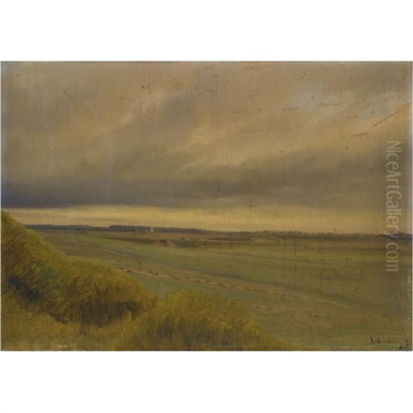 The Field - view 1