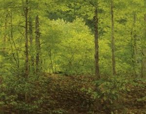Waldandschaft
