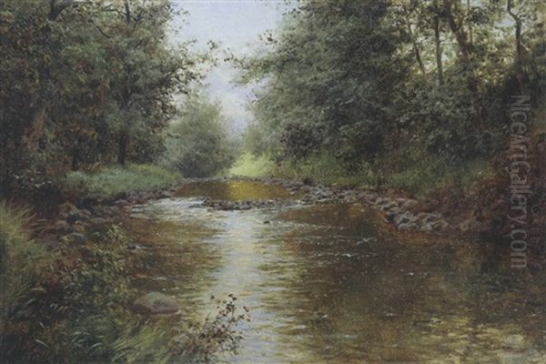 Flusslauf - view 1