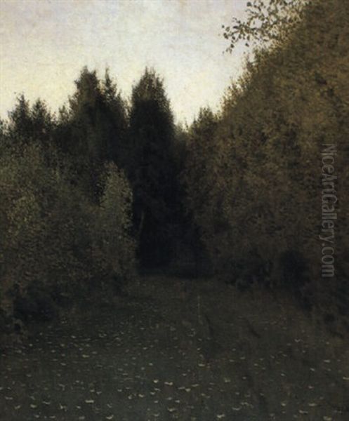 Forest Lane In Summer - view 1