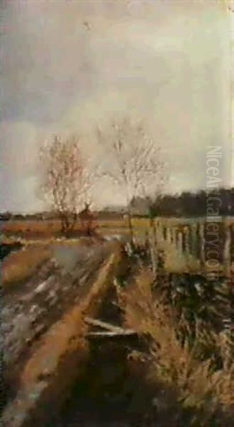 Country Path - view 1