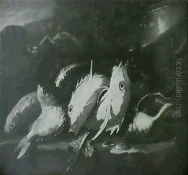 Nature Morte Aux Poissons De Roche, Langouste Et Coquillage - view 1