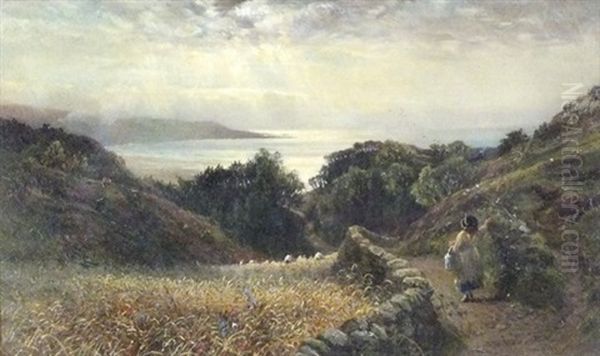 Coastal View Near Barmouth, North Wales - view 1