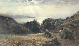 Coastal View Near Barmouth, North Wales by Charles James Lewis
